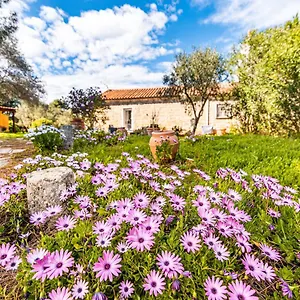Casa Lilliosa Casa vacanze
